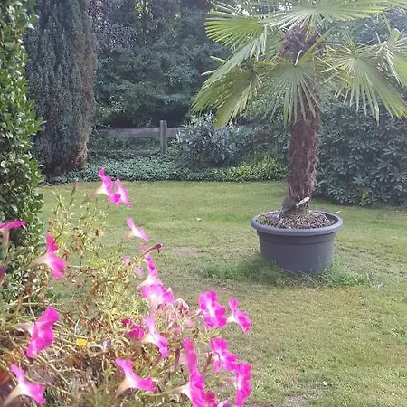 Apartmán Hans-eidig *