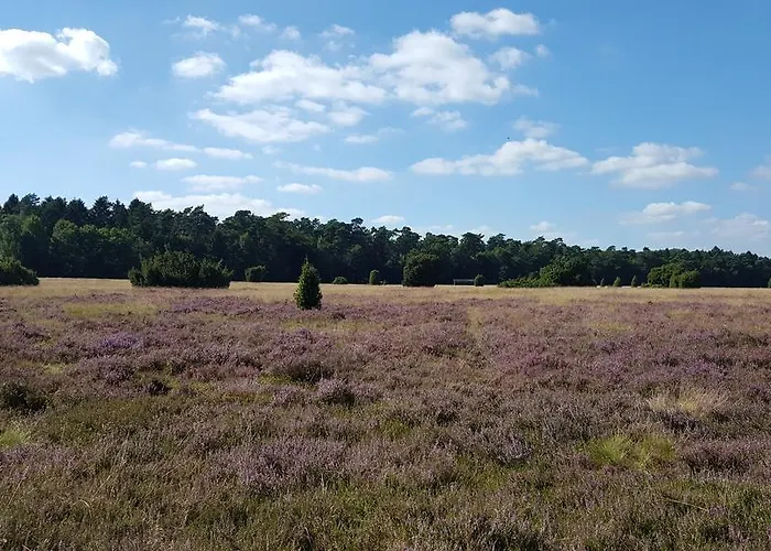 Apartament Hans-eidig Stelle