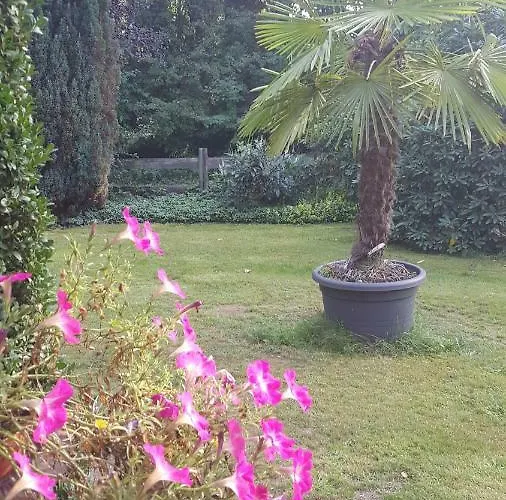 Apartament Hans-eidig *